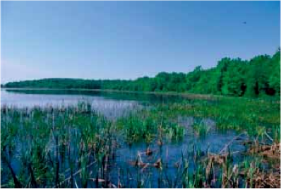 LAS3- Two ponds in Podvinci